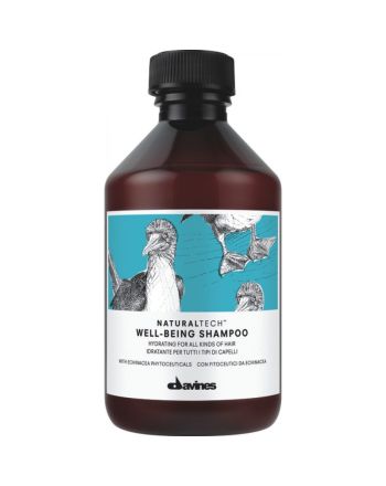 Davines Naturaltech Well-Being Shampoo 250ml