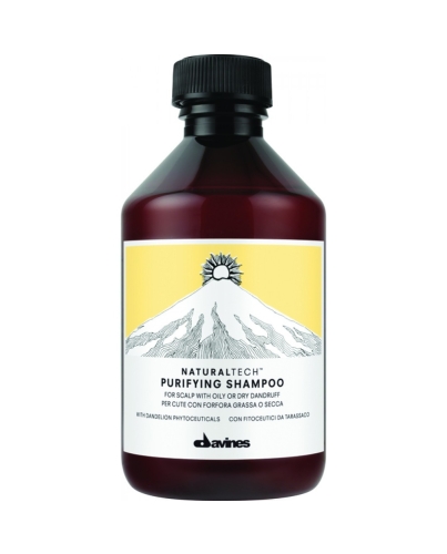 Davines Naturaltech Purifying Shampoo 250ml